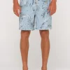 Fashion Levitate Printed 19\\ Mens Boardshorts